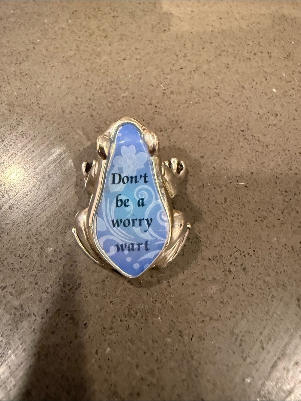 Silver Frog Pin with Blue 'Don't be a worry wart' Figurine